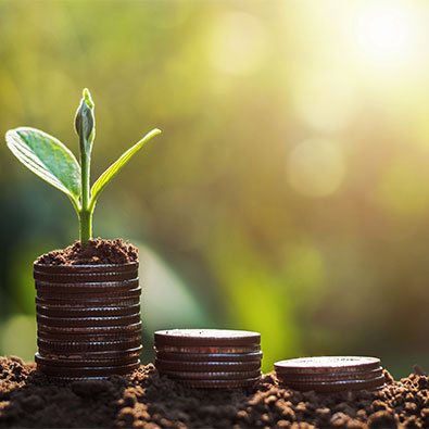 Bireysel Emeklilik Planı