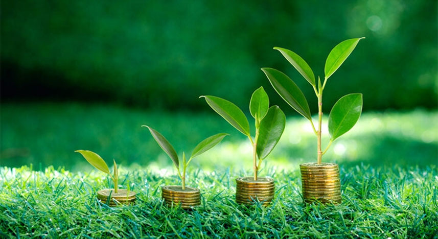 Bireysel Emeklilik Planı