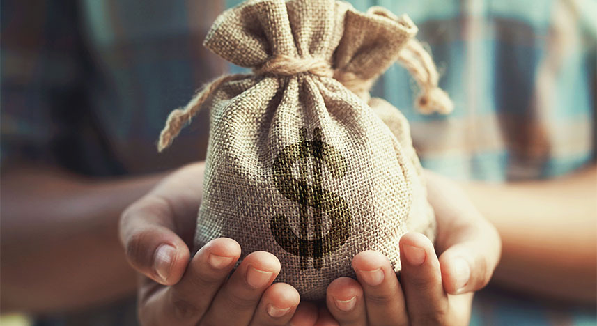 Yaşamaya Değer Hayat Sigortası USD