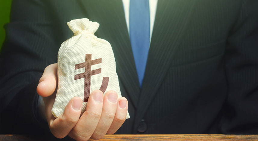 Yaşamaya Değer Hayat Sigortası TL